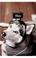 Siberian Husky Huskies Dog Pup Puppy Doggie Notebook Bullet Journal Diary Composition Book Notepad - Look Tired