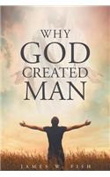 Why God Created Man