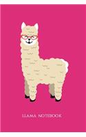 Llama Notebook
