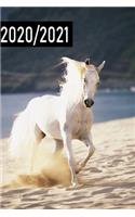 2020 / 2021