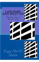 Laid Bare and Split-Up!: Poems for a Break-Up
