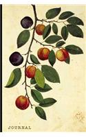 Journal