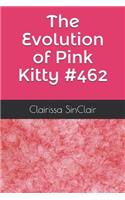 The Evolution of Pink Kitty #462