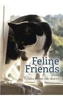 Feline Friends