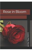Rose in Bloom