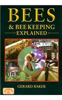 Bees & Beekeeping Explained