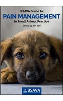 BSAVA Guide to Pain Management in Small Animal Practice