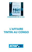 L'Affaire Tintin Au Congo