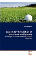 Large Eddy Simulation of Flow over Bluff Bodies