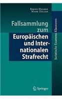 Fallsammlung Zum Europaischen Und Internationalen Strafrecht