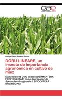 Doru Lineare, Un Insecto de Importancia Agronomica En Cultivo de Maiz
