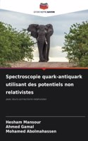 Spectroscopie quark-antiquark utilisant des potentiels non relativistes