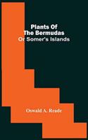 Plants Of The Bermudas