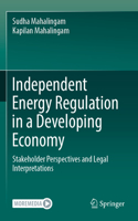Independent Energy Regulation in a Developing Economy
