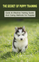 The Secret Of Puppy Training