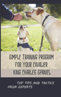 Simple Training Program For Your Cavalier King Charles Spaniel: Top Tips And Tactics From Experts: How To Stop Your Cavalier King Charles Spaniel From Biting Things