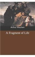 A Fragment of Life