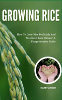 Growing Rice