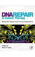 DNA Repair in Cancer Therapy