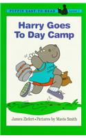 Harry Goes to Day Camp