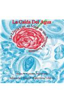 La Caída Del Agua La Lluvia Cae, el Viaje de una Pequeña Semillita