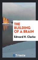 The Building of a Brain