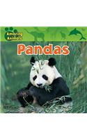 Pandas: (Amazing Animals)