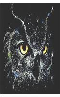 Owl Notebook