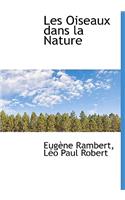Les Oiseaux Dans La Nature