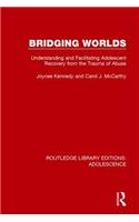 Bridging Worlds