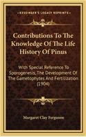 Contributions to the Knowledge of the Life History of Pinus