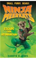 Escape from Ice Mountain