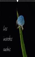 Les Insectes Audois 2018