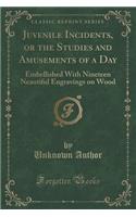 Juvenile Incidents, or the Studies and Amusements of a Day: Embellished with Nineteen Neautiful Engravings on Wood (Classic Reprint)