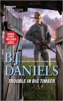 Trouble in Big Timber & Twelve-Gauge Guardian: A Montana Western Mystery