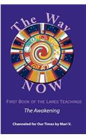 Way NOW - Book One of the Lares Teachings