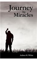 Journey by Miracles: A Trilogy(English)