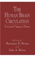 Human Brain Circulation