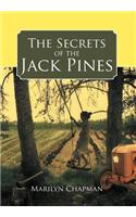 Secrets of the Jack Pines