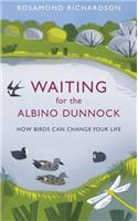 Waiting for the Albino Dunnock