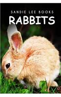 Rabbits - Sandie Lee Books