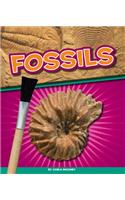 Fossils