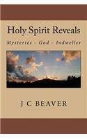 Holy Spirit Reveals