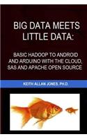 Big Data Meets Little Data