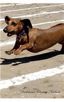 Dachshund February Notebook Dachshund Record, Log, Diary, Special Memories, To Do List, Academic Notepad, Scrapbook & More