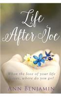 Life After Joe