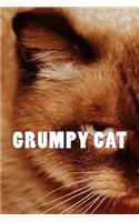 Grumpy Cat