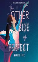 The Other Side of Perfect