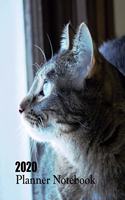 2020 Planner Notebook: Tabby Cat Planner Book With Monthly and Weekly Calendars, Monthly Habit Tracker, Vision Board and Brain Dump Sheets