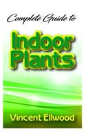 Complete Guide To Indoor Plants